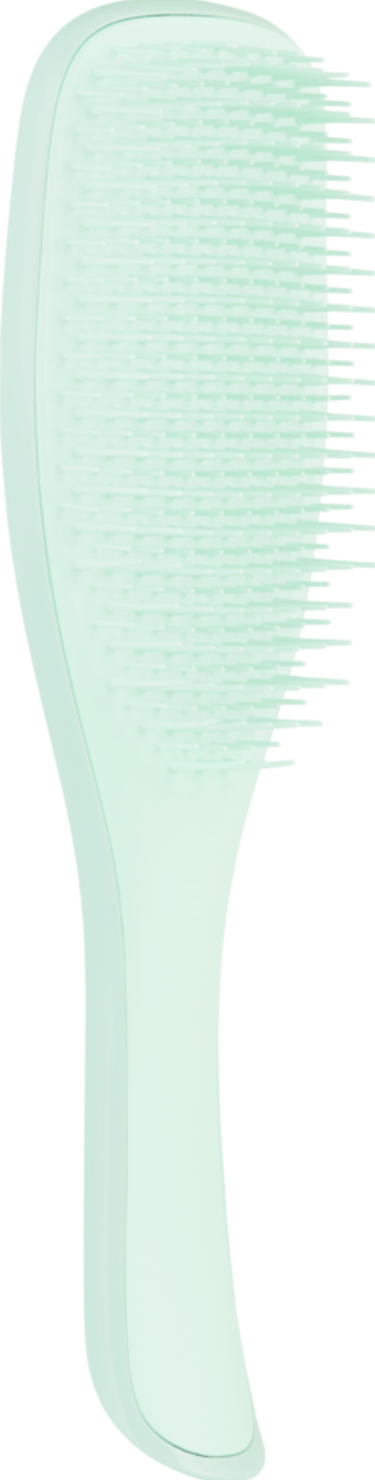 Tangle Teezer - Wet Detangling Hairbrush - Fine & Fragile Jaded Lagoon