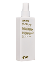 Lade das Bild in den Galerie-Viewer, EVO - Salty Dog Salt Spray 200ml
